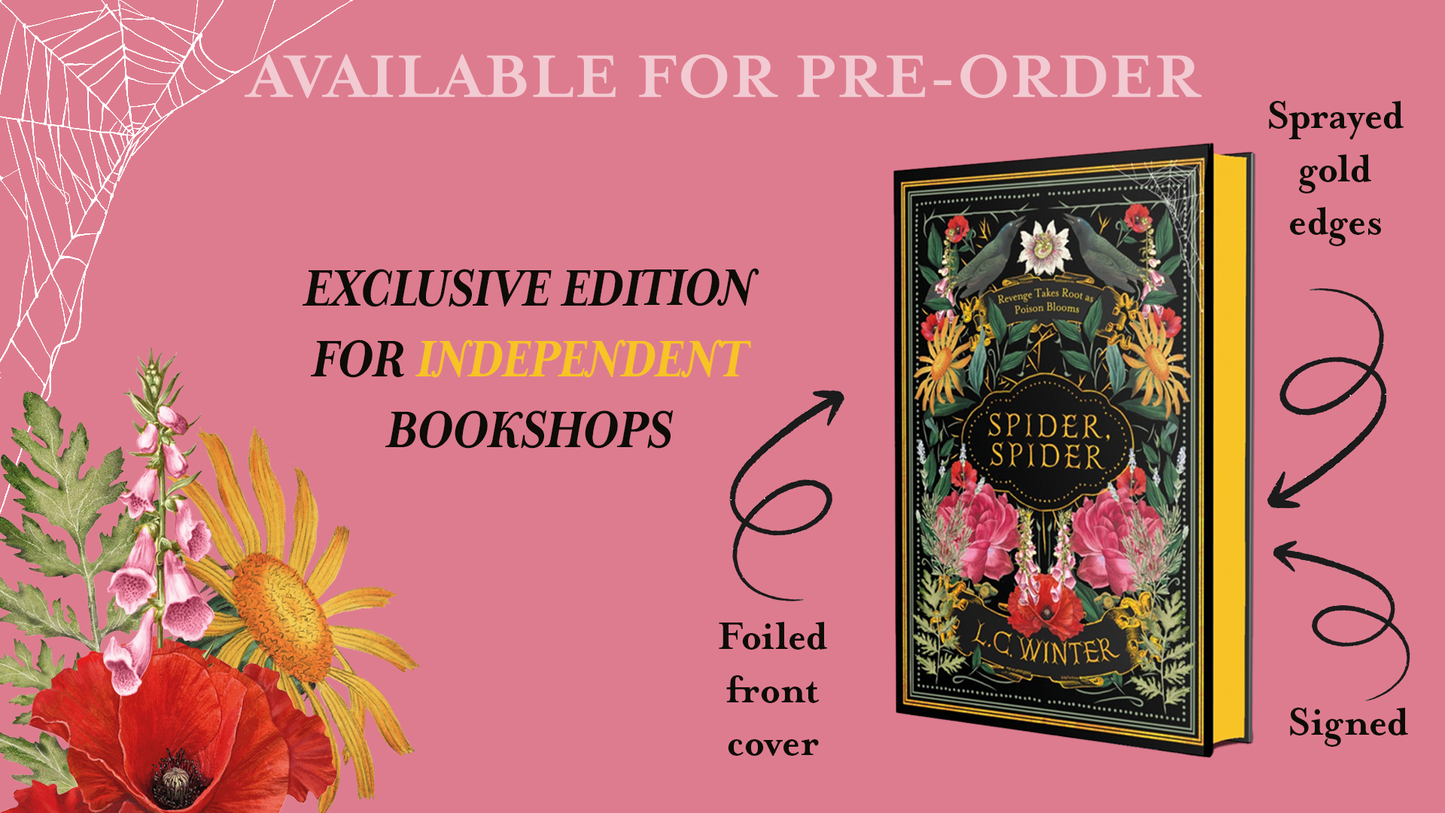 Spider, Spider - INDIE EDITION - Book from The Bookhouse Broughty Ferry- Just £18.99! Shop now