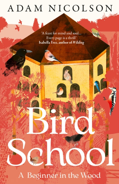 Bird School : A Beginner in the Wood - Book from The Bookhouse Broughty Ferry- Just £10.99! Shop now