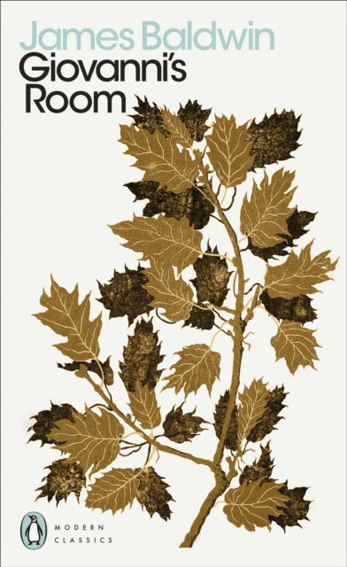 Giovanni's Room - Book from The Bookhouse Broughty Ferry- Just £9.99! Shop now