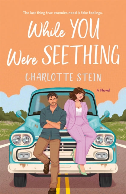 While You Were Seething - Book from The Bookhouse Broughty Ferry- Just £9.99! Shop now