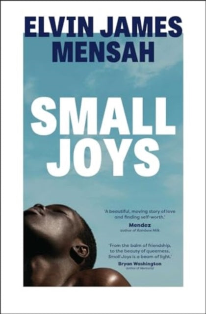 Small Joys : A Buzzfeed Amazing New Book You Need to Read ASAP - Book from The Bookhouse Broughty Ferry- Just £9.99! Shop now