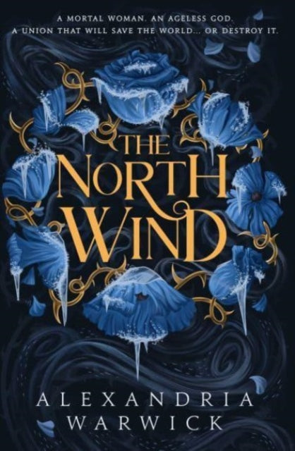 The North Wind - Book from The Bookhouse Broughty Ferry- Just £20! Shop now