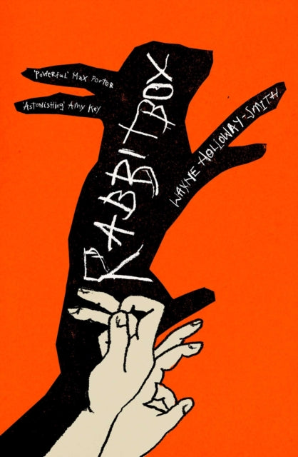 Rabbitbox - Book from The Bookhouse Broughty Ferry- Just £12.99! Shop now