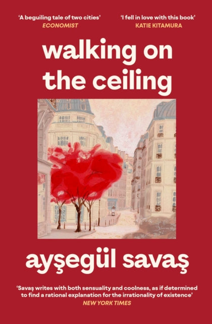Walking on the Ceiling - Book from The Bookhouse Broughty Ferry- Just £9.99! Shop now