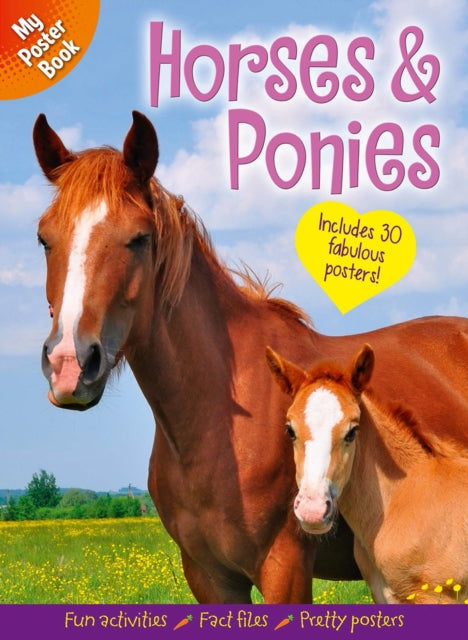 My Poster Book: Horses & Ponies - Book from The Bookhouse Broughty Ferry- Just £9.99! Shop now