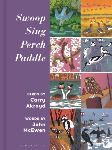 Swoop Sing Perch Paddle - Book from The Bookhouse Broughty Ferry- Just £14.99! Shop now