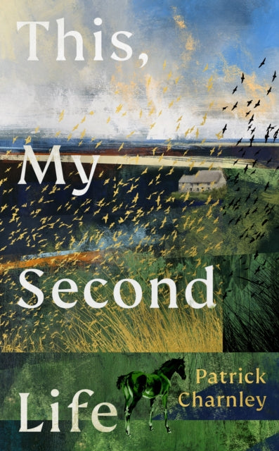 This, My Second Life - Book from The Bookhouse Broughty Ferry- Just £16.99! Shop now