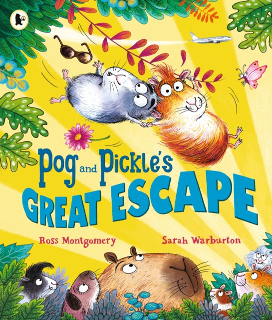 Pog and Pickle's Great Escape - Book from The Bookhouse Broughty Ferry- Just £7.99! Shop now