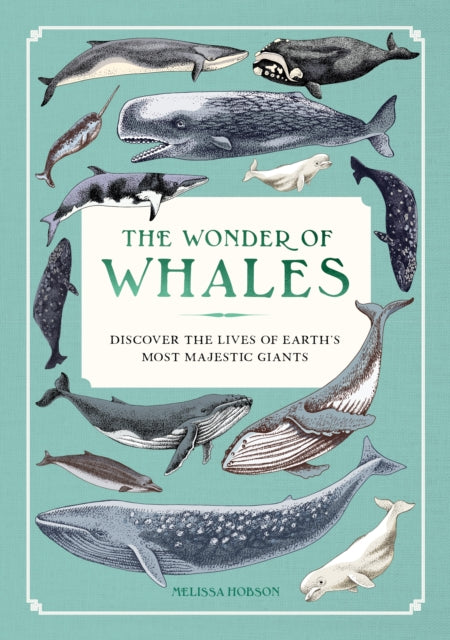 The Wonder of Whales : Discover the Lives of Earth's Most Majestic Giants - Book from The Bookhouse Broughty Ferry- Just £12.99! Shop now