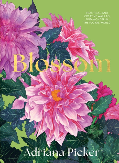 Blossom - Book from The Bookhouse Broughty Ferry- Just £23! Shop now