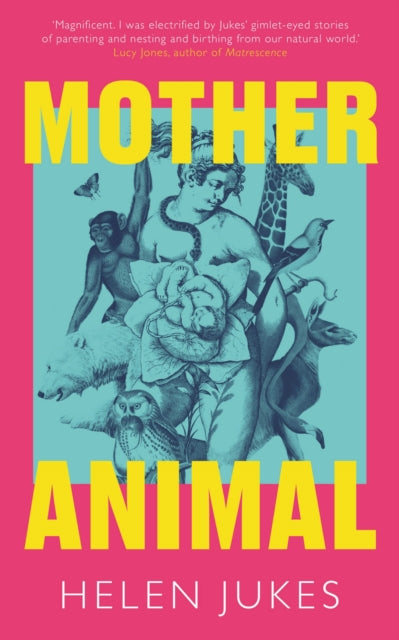 Mother Animal - Book from The Bookhouse Broughty Ferry- Just £16.99! Shop now