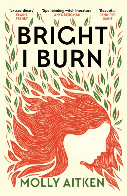 Bright I Burn - Book from The Bookhouse Broughty Ferry- Just £9.99! Shop now