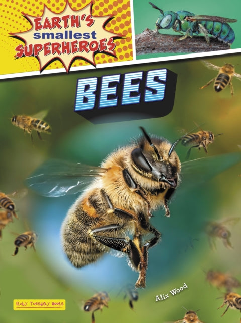 Bees - Book from The Bookhouse Broughty Ferry- Just £8.99! Shop now