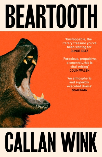 Beartooth - Book from The Bookhouse Broughty Ferry- Just £9.99! Shop now
