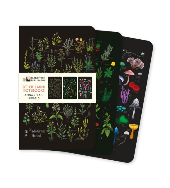 Anna Stead: Herbals Set of 3 Mini Notebooks - Book from The Bookhouse Broughty Ferry- Just £5.99! Shop now