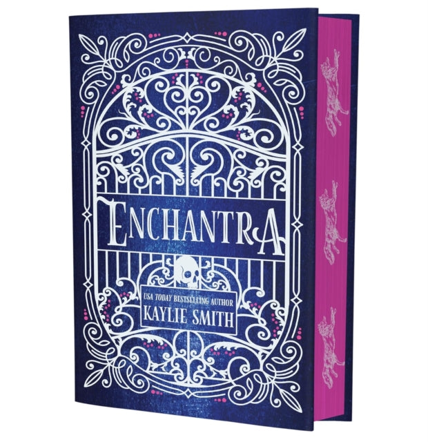 Enchantra : A spicy fantasy romance - Book from The Bookhouse Broughty Ferry- Just £25! Shop now