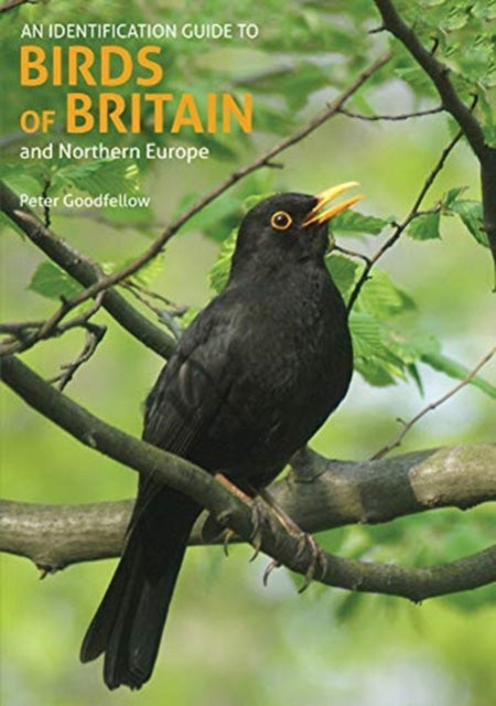 An Identification Guide to Birds of Britain and Northern Europe (2nd edition) - Book from The Bookhouse Broughty Ferry- Just £10.99! Shop now