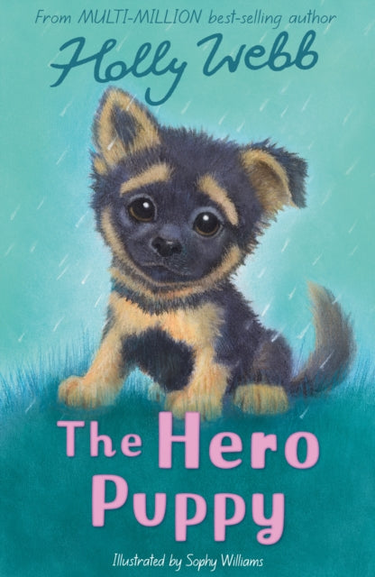 The Hero Puppy - Book from The Bookhouse Broughty Ferry- Just £6.99! Shop now