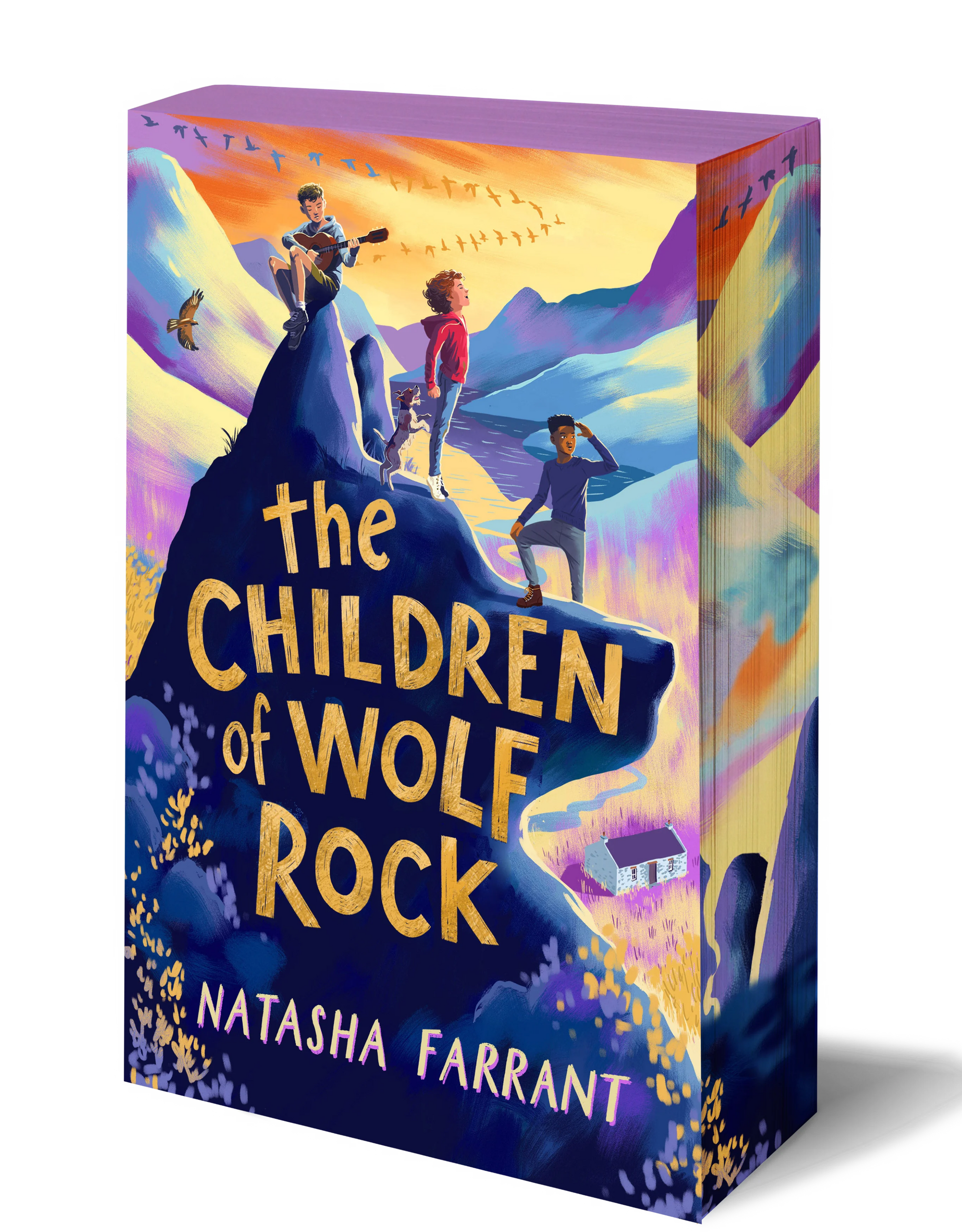 The Children of Wolf Rock - Independent Bookshops Exclusive Edition - Book from The Bookhouse Broughty Ferry- Just £7.99! Shop now