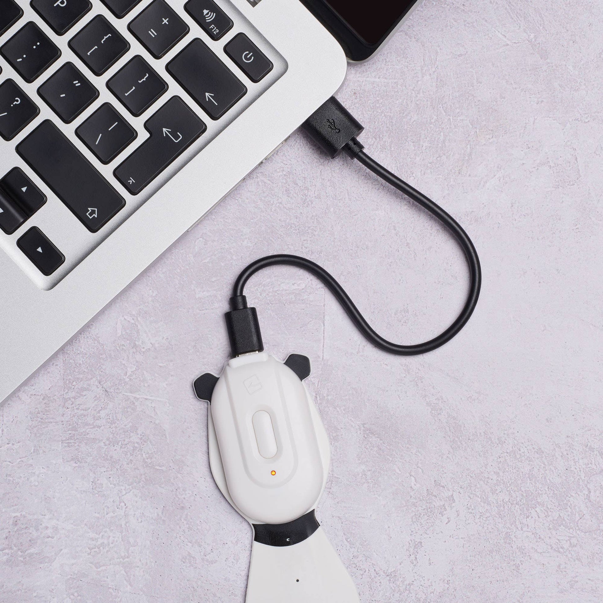 Flexilight Pals Rechargeable Booklight/Bookmark - Panda - Book Accessory from The Bookhouse Broughty Ferry- Just £19.99! Shop now