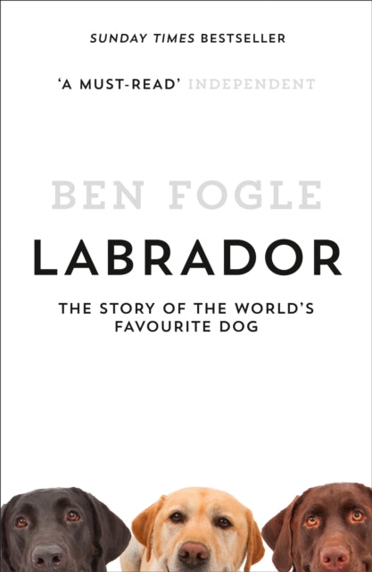 Labrador - Book from The Bookhouse Broughty Ferry- Just £9.99! Shop now