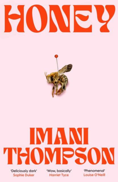 Honey - Book from The Bookhouse Broughty Ferry- Just £16.99! Shop now