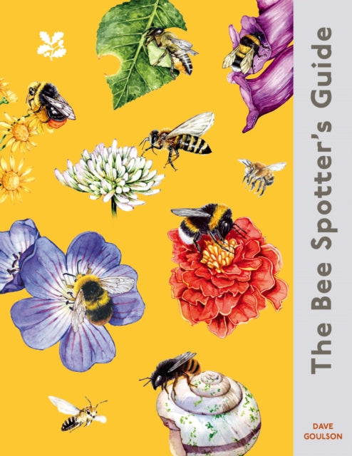 The Bee Spotter’s Guide - Book from The Bookhouse Broughty Ferry- Just £9.99! Shop now