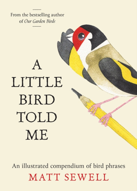 A Little Bird Told Me : An Illustrated Compendium of Bird Phrases - Book from The Bookhouse Broughty Ferry- Just £12.99! Shop now