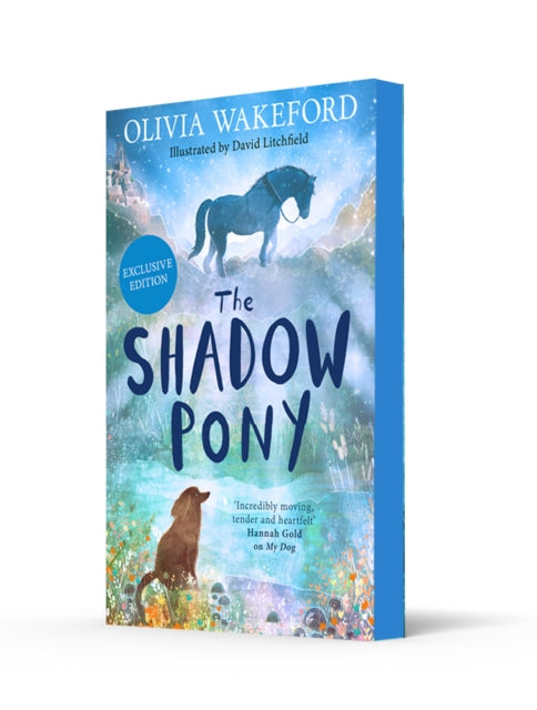 The Shadow Pony - Book from The Bookhouse Broughty Ferry- Just £7.99! Shop now