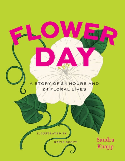Flower Day : A Story of 24 Hours and 24 Floral Lives - Book from The Bookhouse Broughty Ferry- Just £15! Shop now