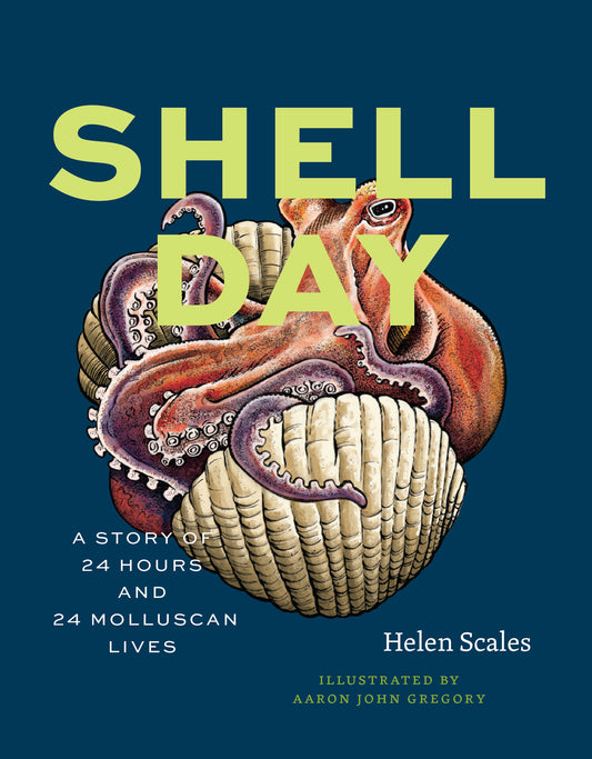 Shell Day : A Story of 24 Hours and 24 Molluscan Lives - Book from The Bookhouse Broughty Ferry- Just £10! Shop now