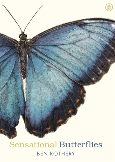 Sensational Butterflies - Book from The Bookhouse Broughty Ferry- Just £12.99! Shop now