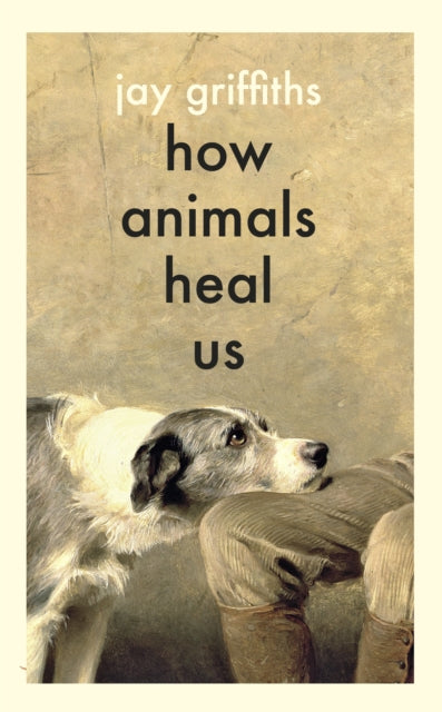 How Animals Heal Us - Book from The Bookhouse Broughty Ferry- Just £20! Shop now