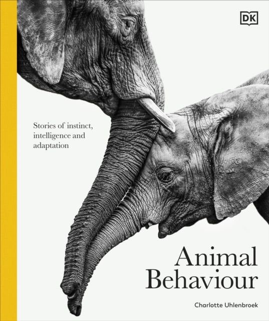Animal Behaviour - Book from The Bookhouse Broughty Ferry- Just £30! Shop now