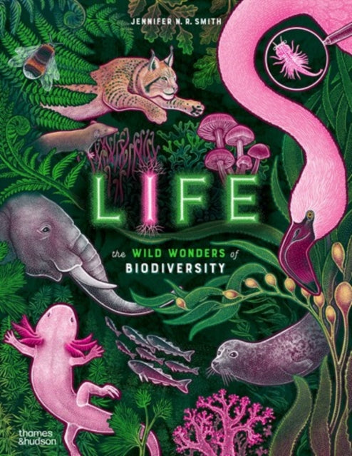 Life - Book from The Bookhouse Broughty Ferry- Just £16.99! Shop now