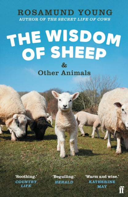 The Wisdom of Sheep & Other Animals - Book from The Bookhouse Broughty Ferry- Just £10.99! Shop now