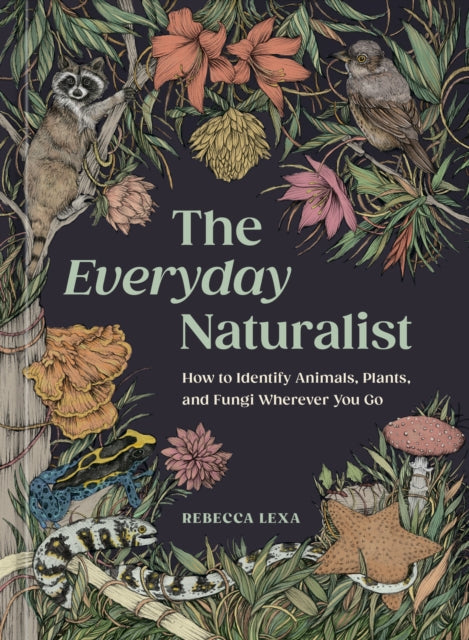 The Everyday Naturalist - Book from The Bookhouse Broughty Ferry- Just £15.99! Shop now