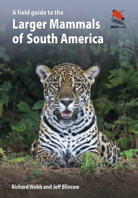 A Field Guide to the Larger Mammals of South America - Book from The Bookhouse Broughty Ferry- Just £42! Shop now