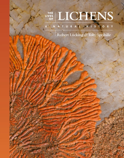 The Lives of Lichens - Book from The Bookhouse Broughty Ferry- Just £30! Shop now