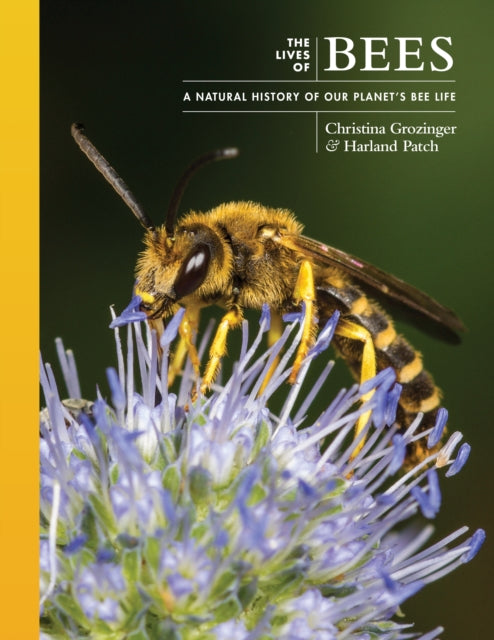 The Lives of Bees - Book from The Bookhouse Broughty Ferry- Just £30! Shop now