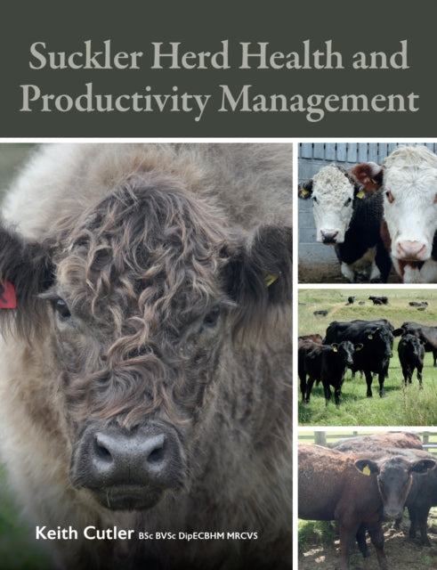 Suckler Herd Health and Productivity Management - Book from The Bookhouse Broughty Ferry- Just £30! Shop now