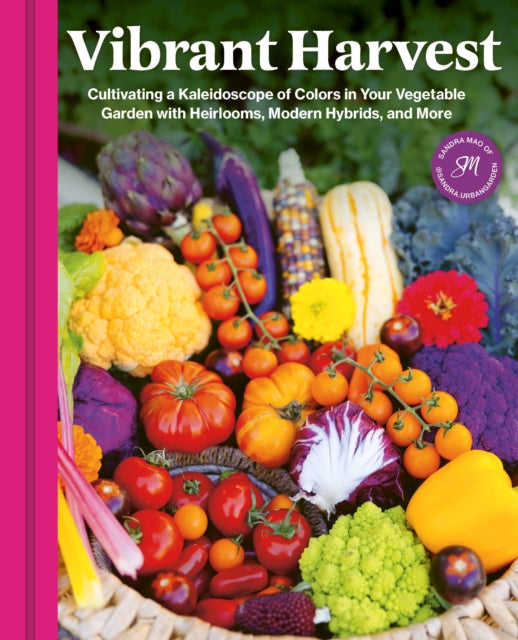 Vibrant Harvest - Book from The Bookhouse Broughty Ferry- Just £20! Shop now