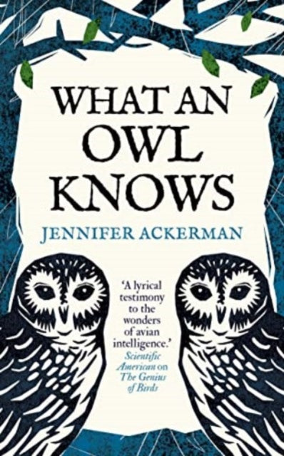 What an Owl Knows - Book from The Bookhouse Broughty Ferry- Just £12.99! Shop now