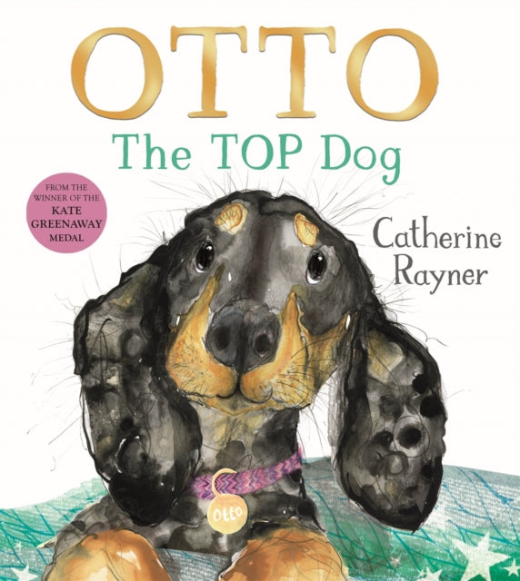Otto The Top Dog - Book from The Bookhouse Broughty Ferry- Just £7.99! Shop now
