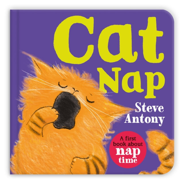Cat Nap : A first book about naptime - Book from The Bookhouse Broughty Ferry- Just £7.99! Shop now