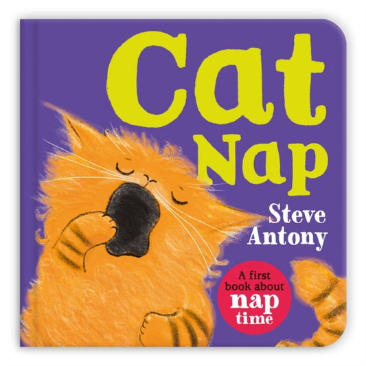 Cat Nap : A first book about naptime - Book from The Bookhouse Broughty Ferry- Just £7.99! Shop now
