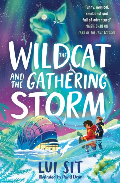 The Wildcat and the Gathering Storm - Book from The Bookhouse Broughty Ferry- Just £8.99! Shop now
