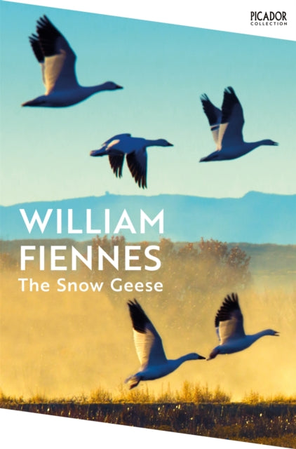 The Snow Geese - Book from The Bookhouse Broughty Ferry- Just £10.99! Shop now