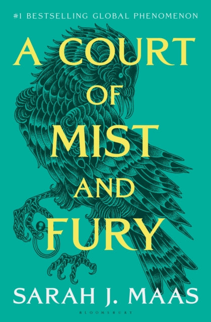 A Court of Mist and Fury - Book from The Bookhouse Broughty Ferry- Just £22.50! Shop now