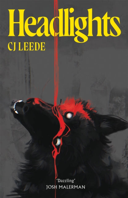 Headlights - Book from The Bookhouse Broughty Ferry- Just £22! Shop now